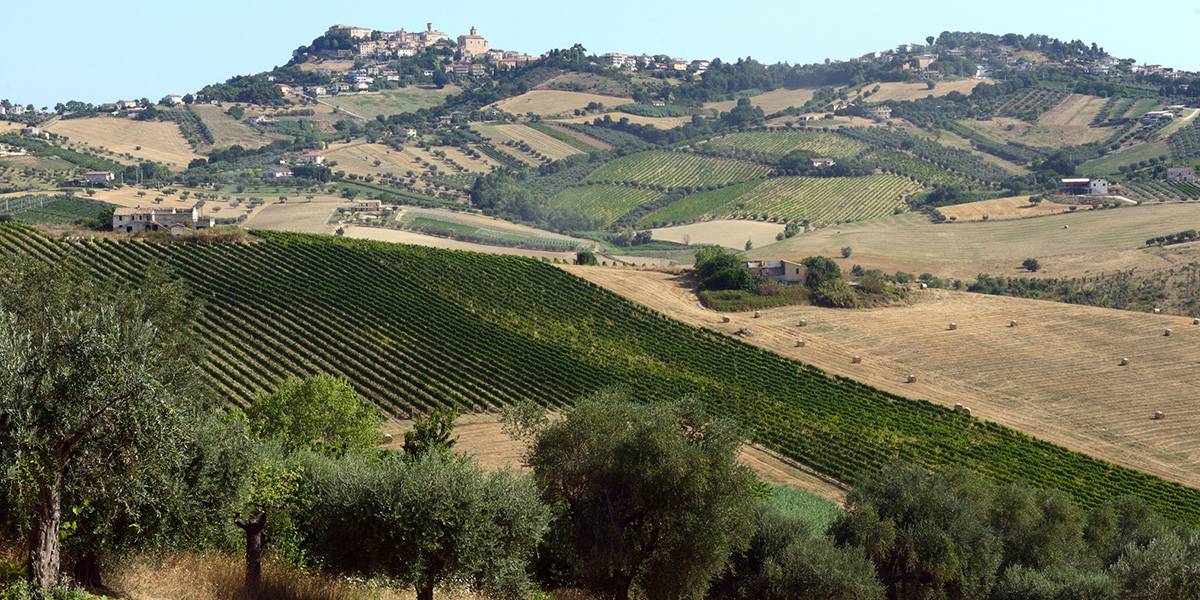 Linea Classica - Tenuta Colonnella