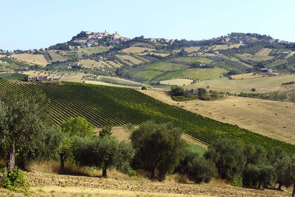 Filari di Colonnella