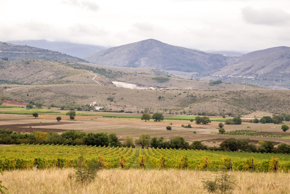 Tenuta Ofena