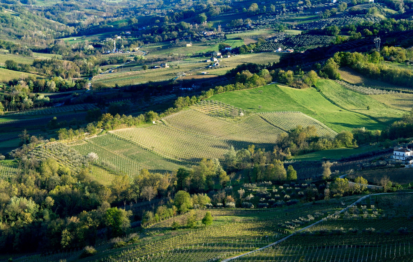 In den letzten 30 Jahren hat Masciarelli Tenute Agricole das landwirtschaftliche Erbe der Region genaustens studiert und somit das Weinbaupotenzial der Abruzzen – mit all den Kontrasten und damit einhergehenden einzigartigen Terroirs – unglaublich aufgewertet.