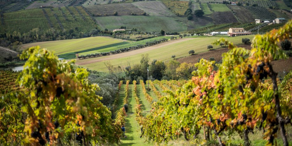 Tenuta